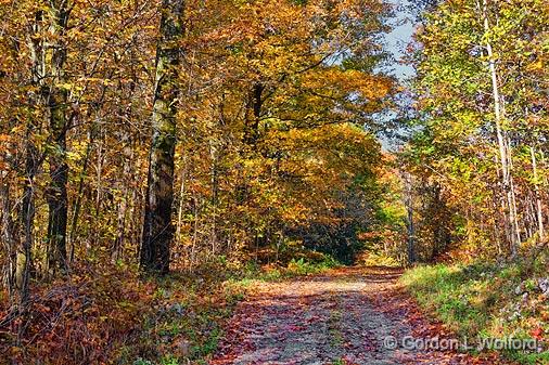 Autumn Backroad_23259.jpg - Photographed at Rideau Lakes, Ontario, Canada.